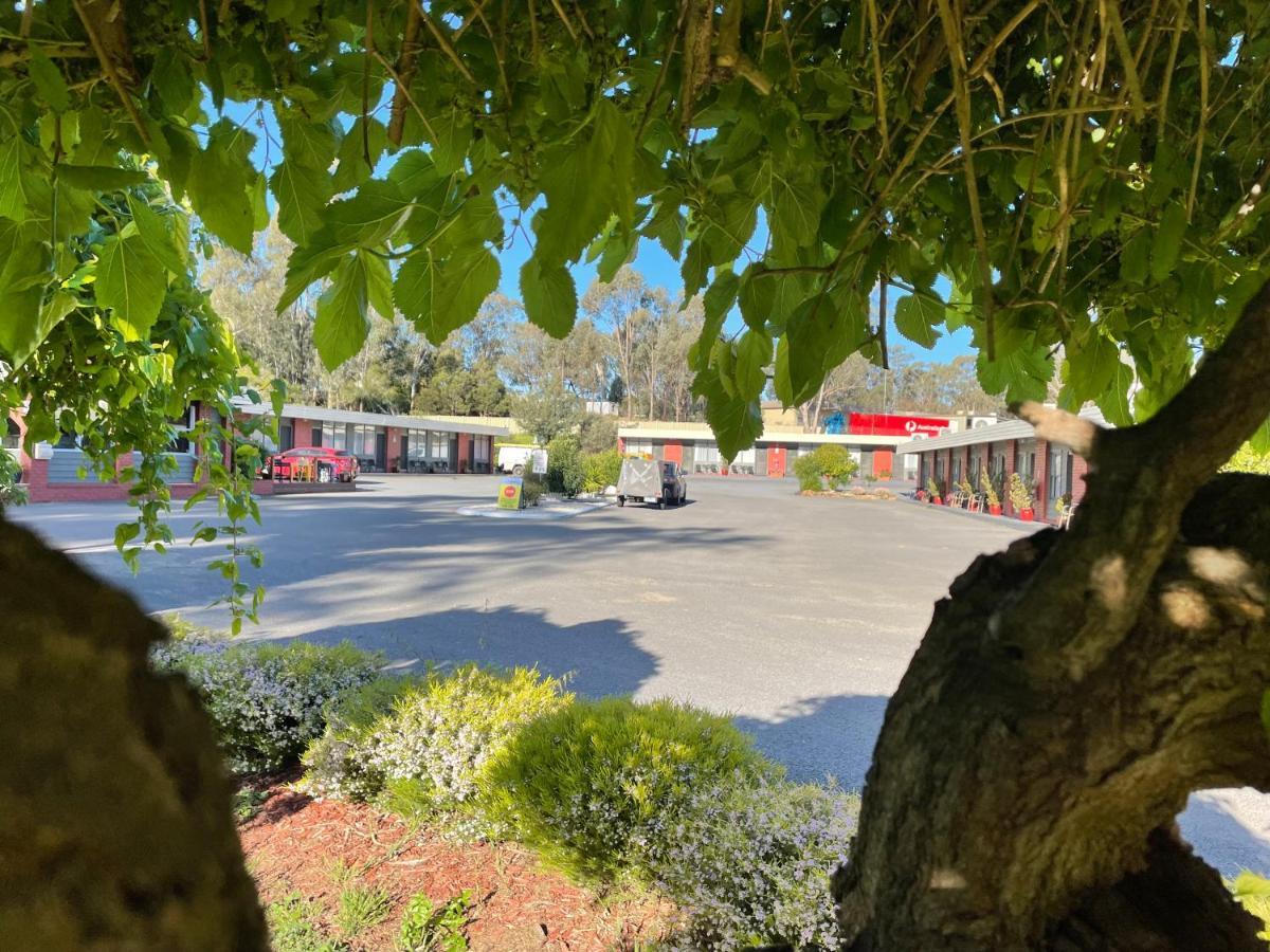Seymour Motel Kültér fotó